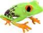 Painted Croaking Hazard 7D4071.png