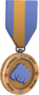 BLU Tournament Medal - National Heavy Boxing League 1st Place.png
