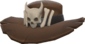 Painted Headhunter's Brim 694D3A.png