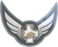 Painted Tournament Medal - RGL.gg Highlander C5AF91 Main Division.png