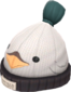 Painted Boarder's Beanie 2F4F4F Brand Medic.png