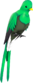 Painted Quizzical Quetzal 424F3B.png