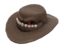Item icon Snaggletoothed Stetson.png