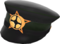 Unused Painted Heavy Artillery Officer's Cap 424F3B.png