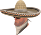 Painted Wide-Brimmed Bandito A89A8C.png