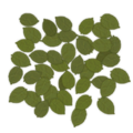 Frontline groundleaves 1.png