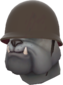 Painted War Dog 2F4F4F Helmet.png