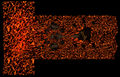 Helltower Hell Overview.jpg