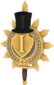 Painted Tournament Medal - Chapelaria Highlander C5AF91.png