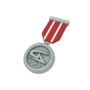 Backpack Tournament Medal - Gamers Assembly - Second Place.png