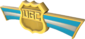 BLU UGC 4vs4 Season 13-14 Gold Participant.png