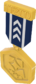Painted Tournament Medal - TF2Connexion 18233D.png