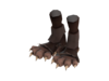Item icon Pickled Paws.png