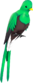 Painted Quizzical Quetzal 483838.png