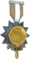 Painted Tournament Medal - Ready Steady Pan 7C6C57 Ready Steady Pan Panticipant.png