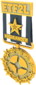 Unused Painted Tournament Medal - ETF2L Highlander 384248 Season 6-16 Group Winner.png