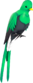 Painted Quizzical Quetzal 384248.png