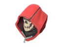 Item icon Cranial Cowl.png