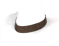 Painted Hat With No Name E6E6E6.png