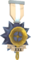 Painted Tournament Medal - Ready Steady Pan C5AF91 Ready Steady Pan Helper Season 3.png
