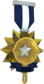 Painted Tournament Medal - Ready Steady Pan 18233D Finalist Fryer.png