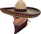 Painted Wide-Brimmed Bandito 3B1F23.png