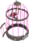 Painted Bolted Birdcage FF69B4.png