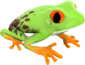 Painted Croaking Hazard A57545.png