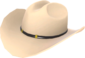 Painted Texas Ten Gallon C5AF91.png