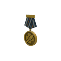 Item icon Tournament Medal - ETF2L Ultiduo.png