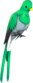 Painted Quizzical Quetzal 839FA3.png