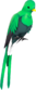 Painted Quizzical Quetzal 2F4F4F.png