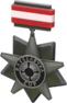 RED Tournament Medal - Rasslabyxa Cup Participant.png