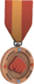 RED Tournament Medal - National Heavy Boxing League Participant.png