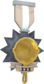 Painted Tournament Medal - Ready Steady Pan A89A8C Ready Steady Pan Panticipant.png