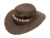 Item icon Snaggletoothed Stetson.png