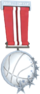 RED Tournament Medal - BBall One Day Cup Second Place.png