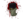 Item icon Voodoo-Cursed Scout Soul.png