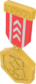 Painted Tournament Medal - TF2Connexion B8383B.png