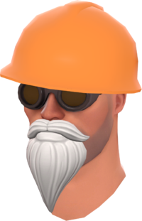 Wise Whiskers Hat.png