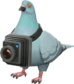 Painted Bird's Eye Viewer 839FA3.png