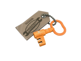 Item icon Summer 2019 Cosmetic Key.png