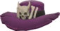 Painted Headhunter's Brim 7D4071.png