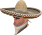 Painted Wide-Brimmed Bandito A89A8C.png
