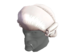 Image:Item icon Magistrate's Mullet.png