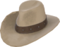 Painted Hat With No Name 7C6C57.png