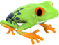 Painted Croaking Hazard 5885A2.png