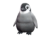 Pebbles the Penguin‎