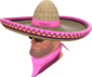 Painted Wide-Brimmed Bandito FF69B4.png