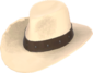Painted Hat With No Name C5AF91.png